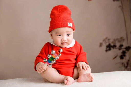 瑞安宝宝餐椅哪种最实用 瑞安宝宝餐椅哪种最实用